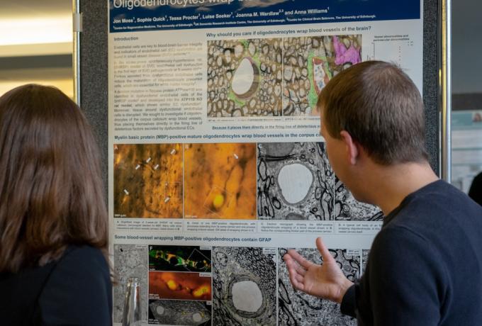 vascular workshop poster