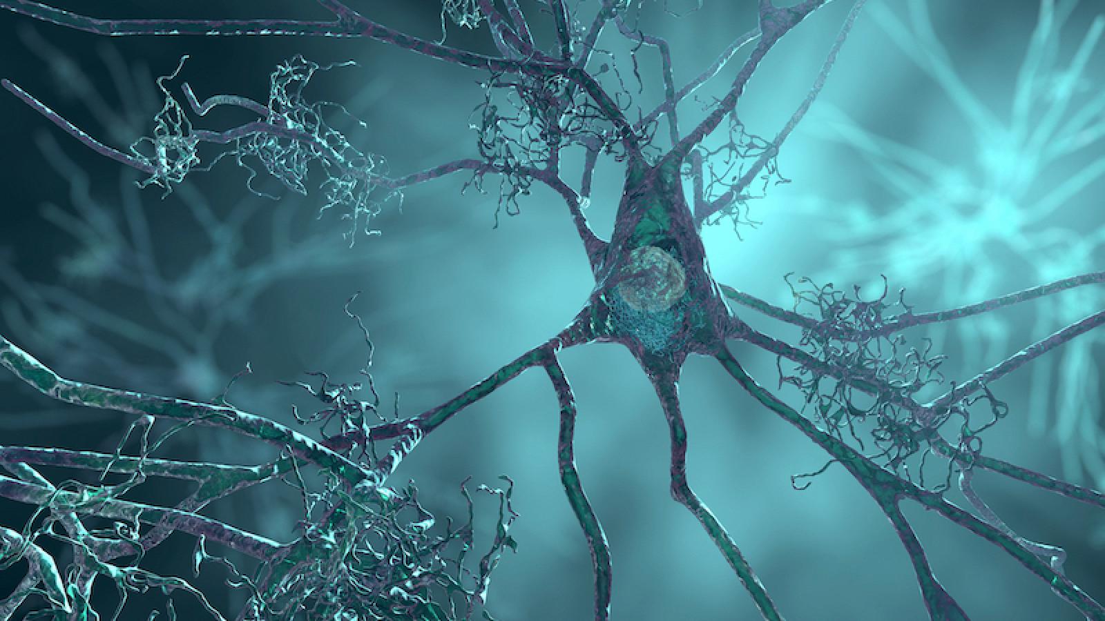 An illustration of a neuron