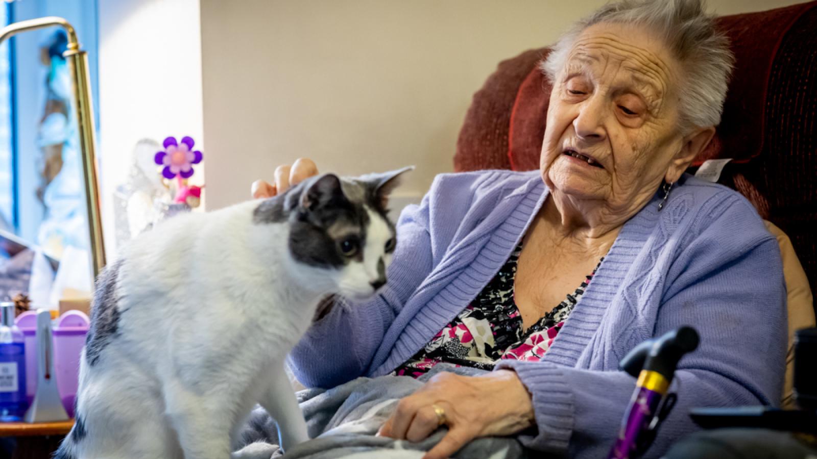 Woman with a cat on her lap