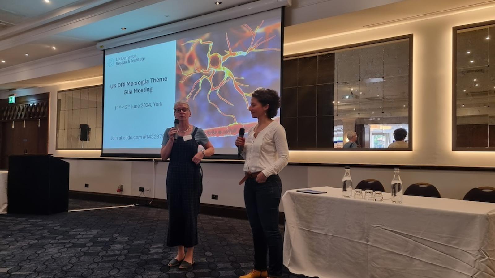 Researchers present at the Glia theme meeting in 2024
