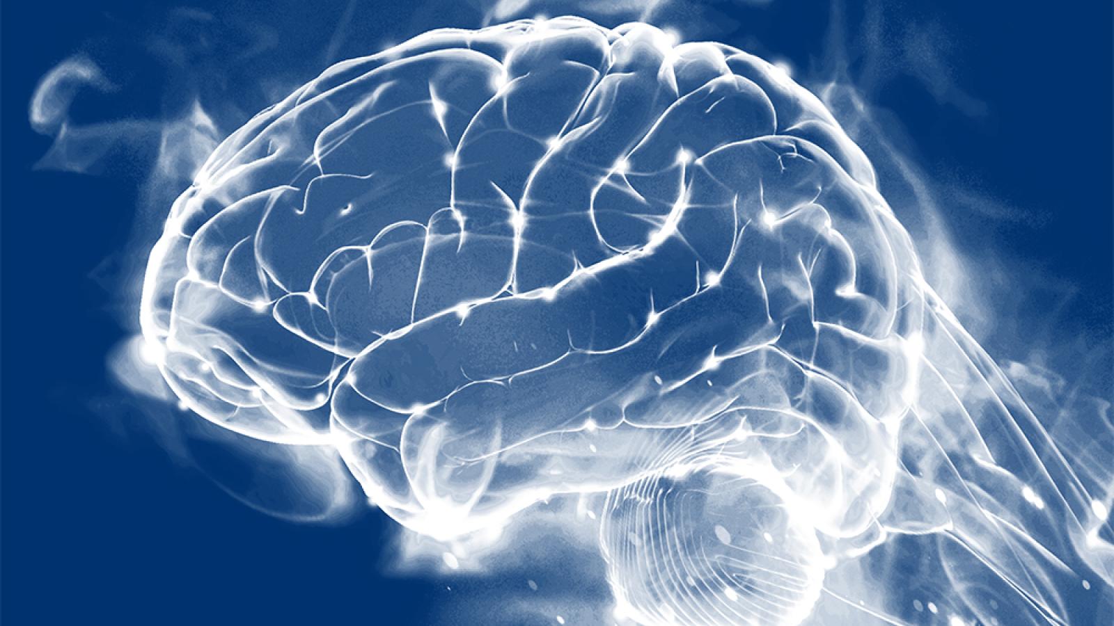 Abstract brain on navy background