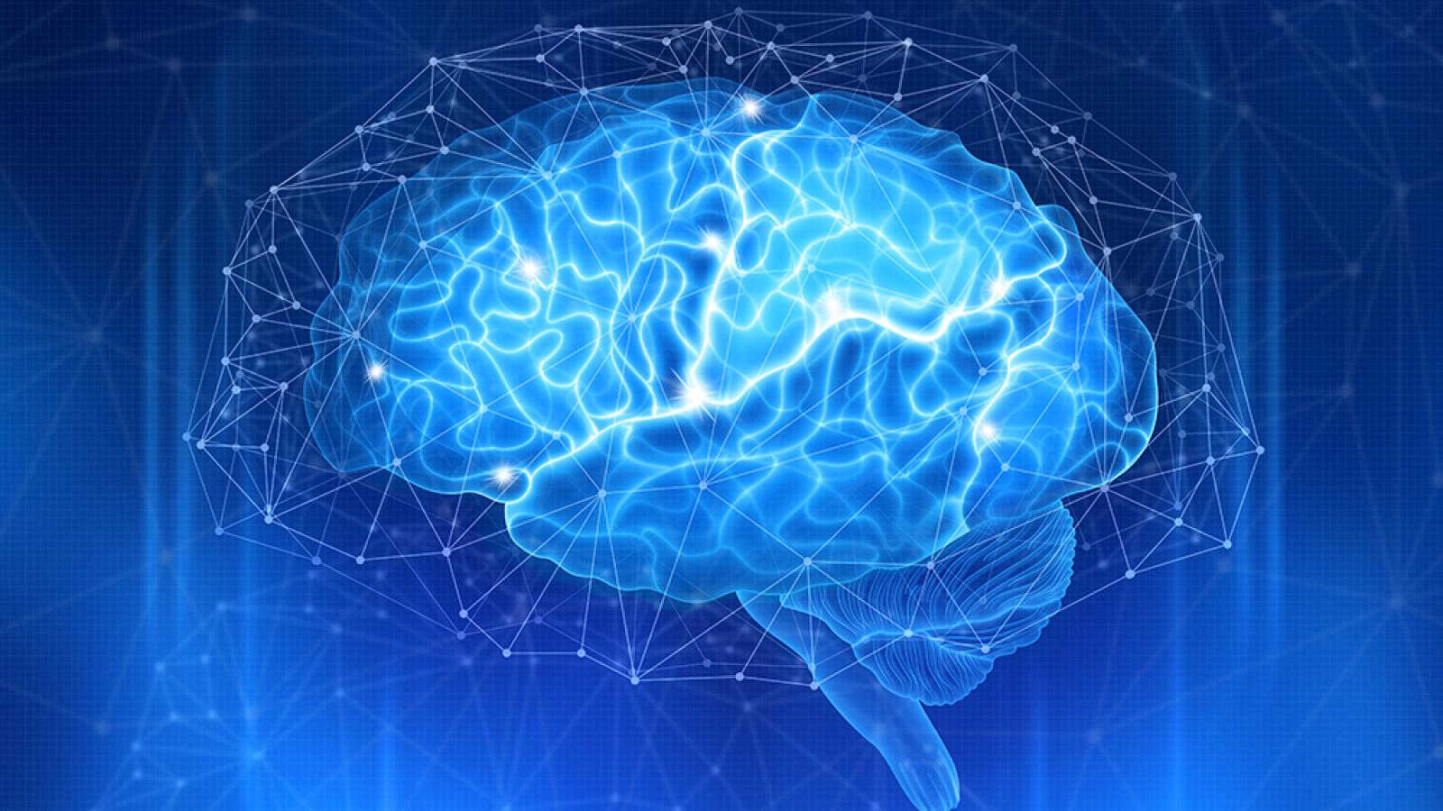 Digital brain