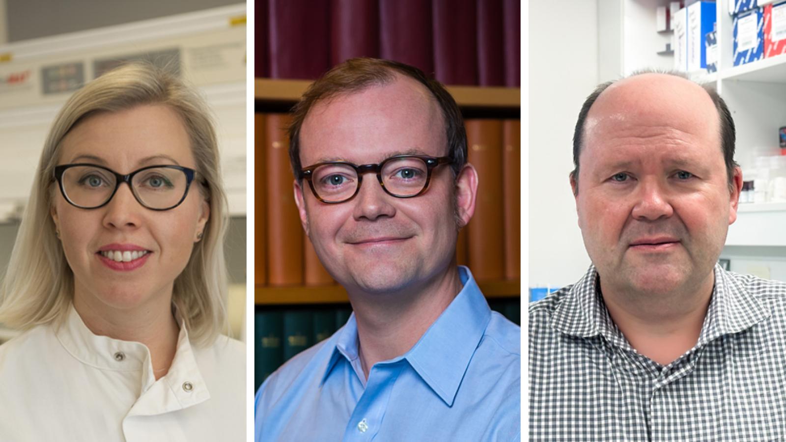 Professor Nick Fox to lead the UK DRI at UCL for 2018 | UK