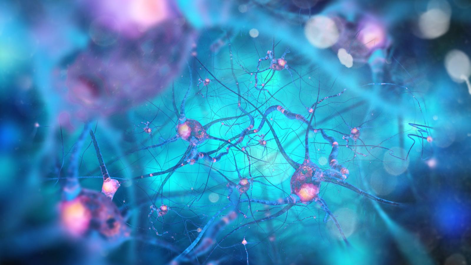 Illustration of neurons in the brain