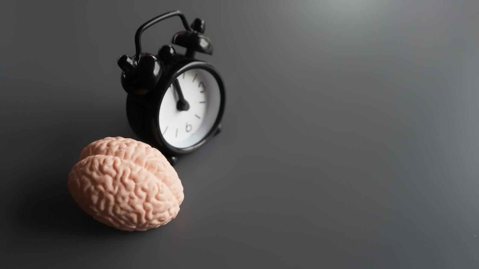Brain alarm clock image