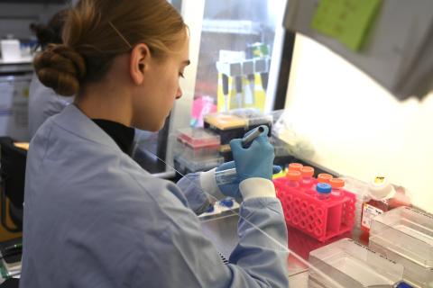 A scientist works in a fume hood