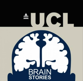 UCL brain stories podcast thumbnail