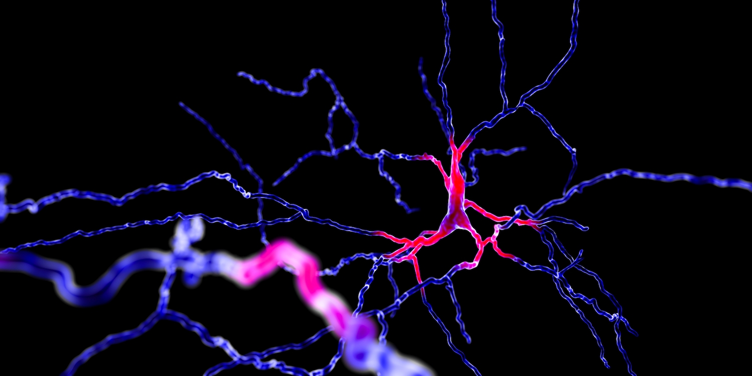 Dopiminergic-neuron_red.jpg#asset:4292